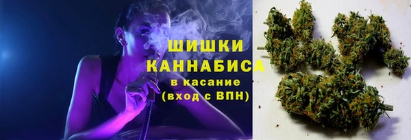 каннабис Белокуриха